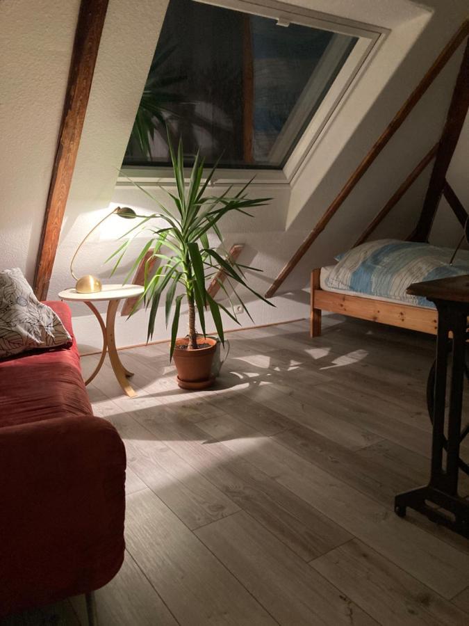 Privates Appartment Ferienwohnung Im Einfamilienhaus Dusseldorf Luaran gambar